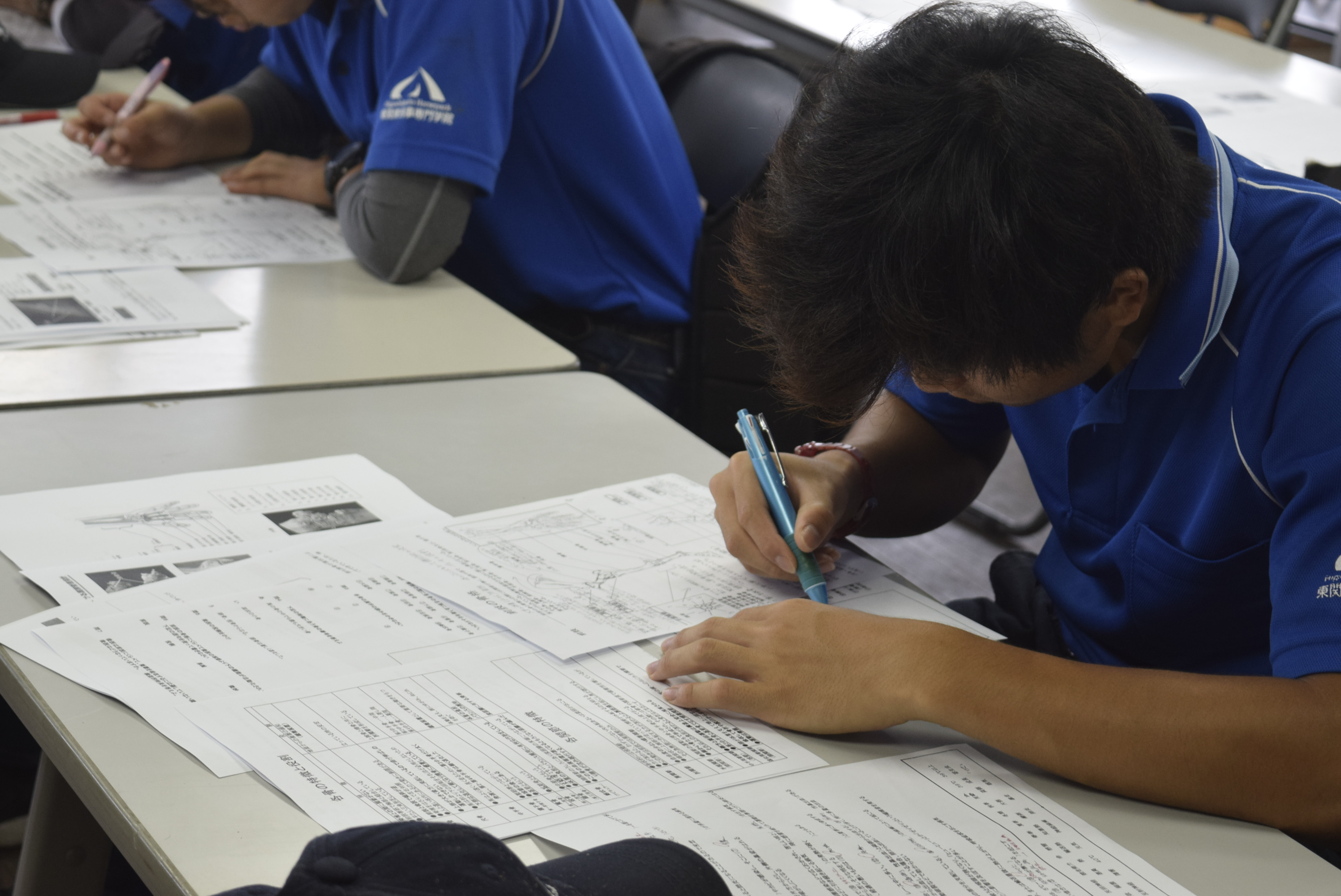 夢に向かって馬と向き合う学生の様子