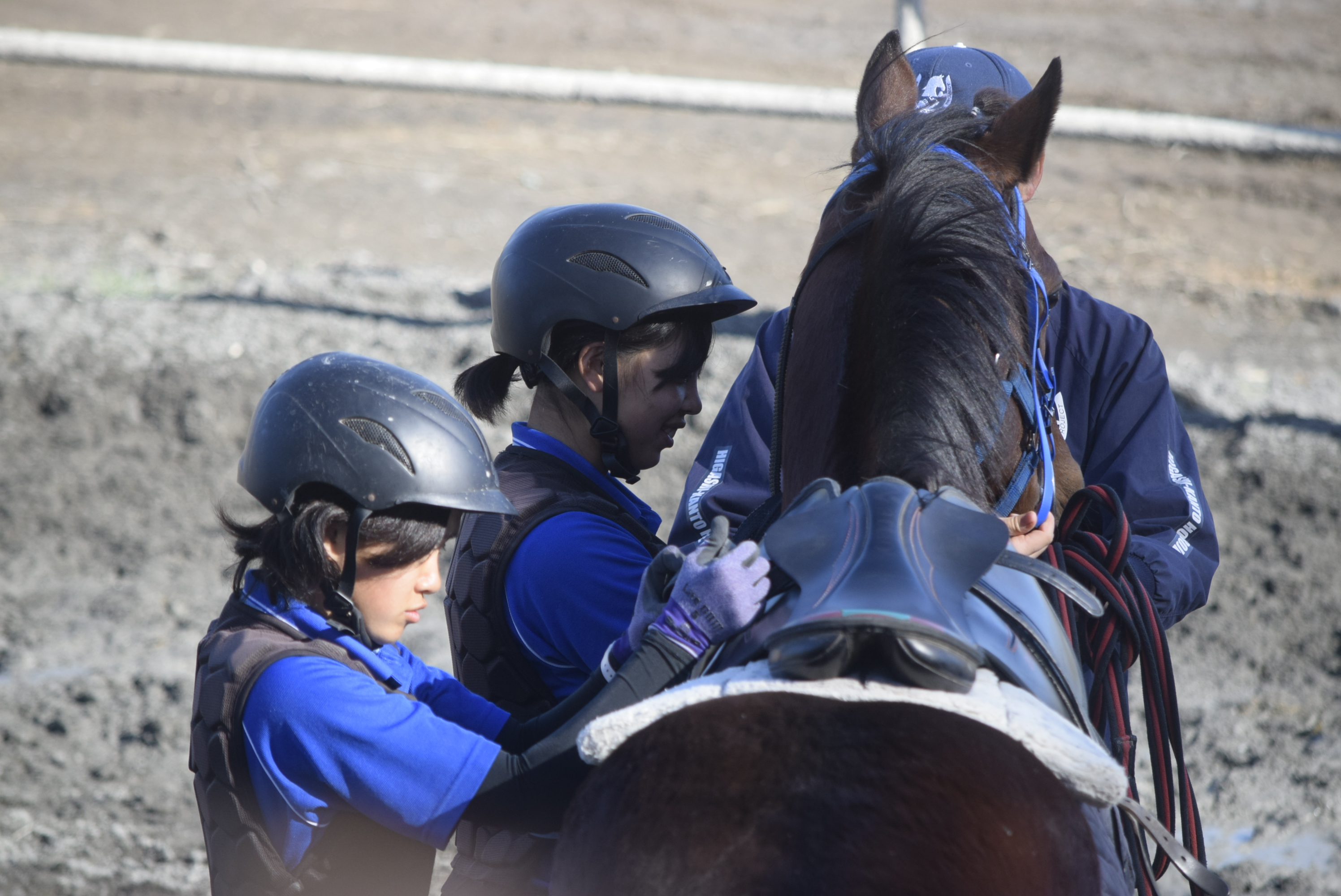 夢に向かって馬と向き合う学生の様子