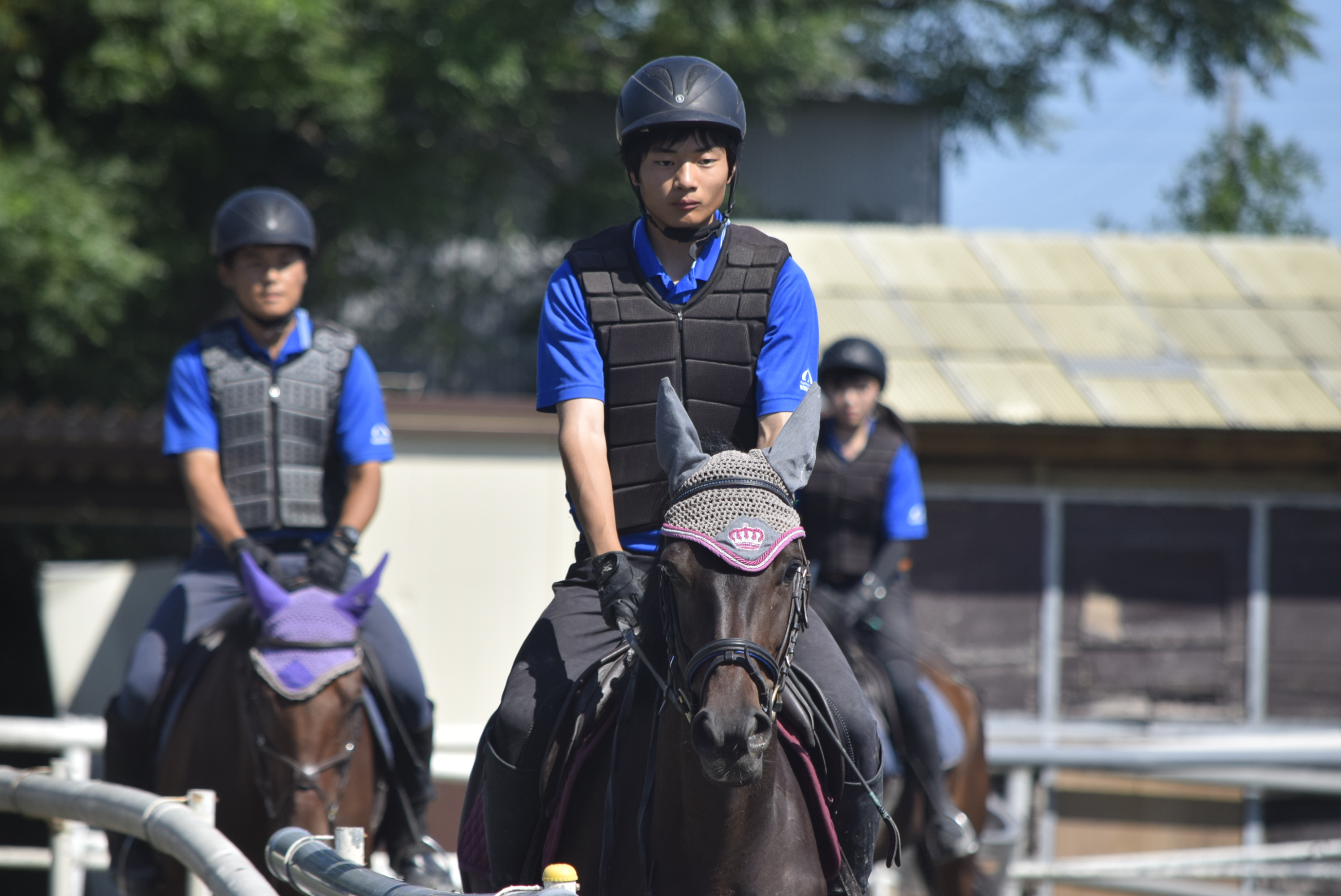 夢に向かって馬と向き合う学生の様子