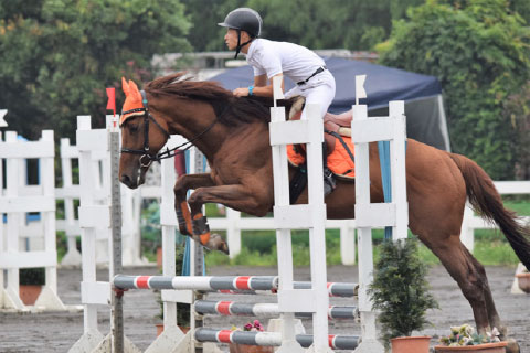 馬術競技に取り組む学生