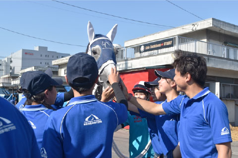 現役競走馬とともに歩む学生