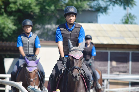 基礎から積み上げる騎乗訓練