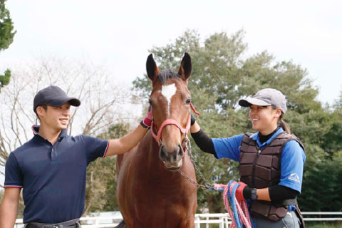 担当馬制度による厩務実習