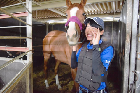 118頭を超える馬たちが教材