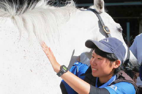担当馬の世話をする学生たち