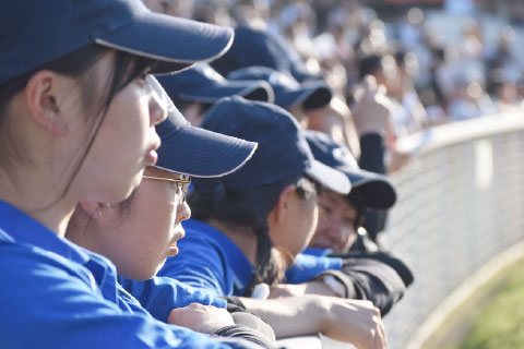 競馬場でレースに向かう学校の馬