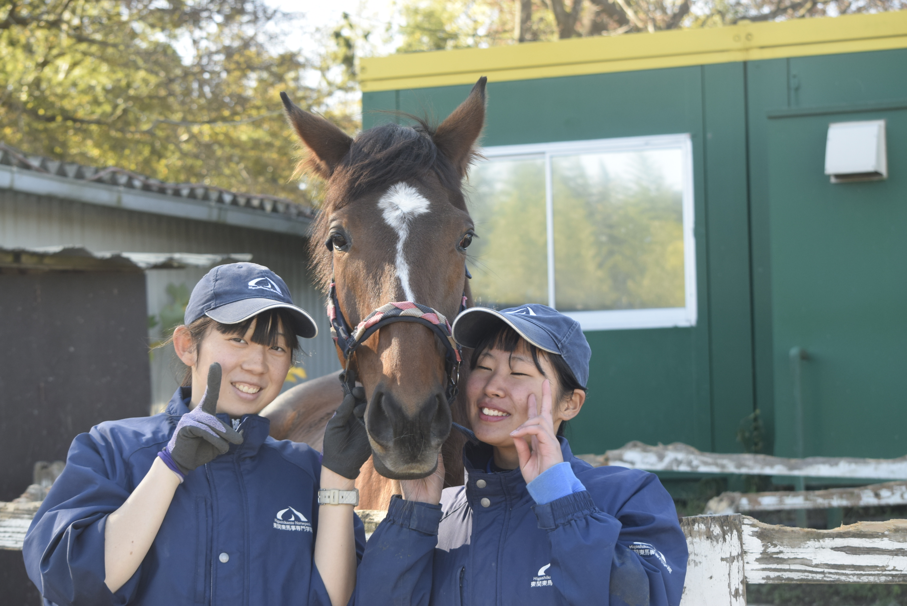馬とともに過ごすバジガクの日常