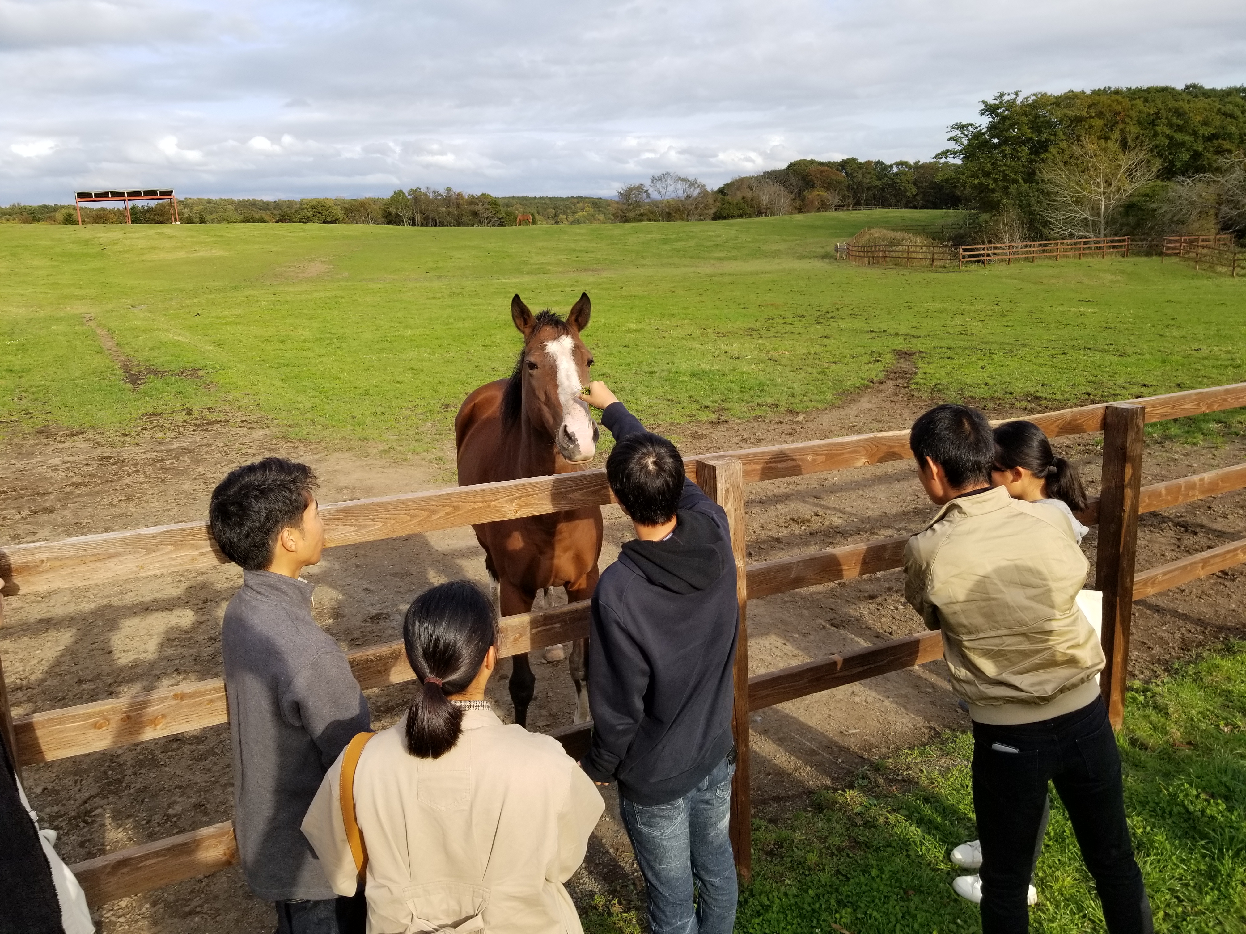 働きながら学ぶ、報酬型インターン