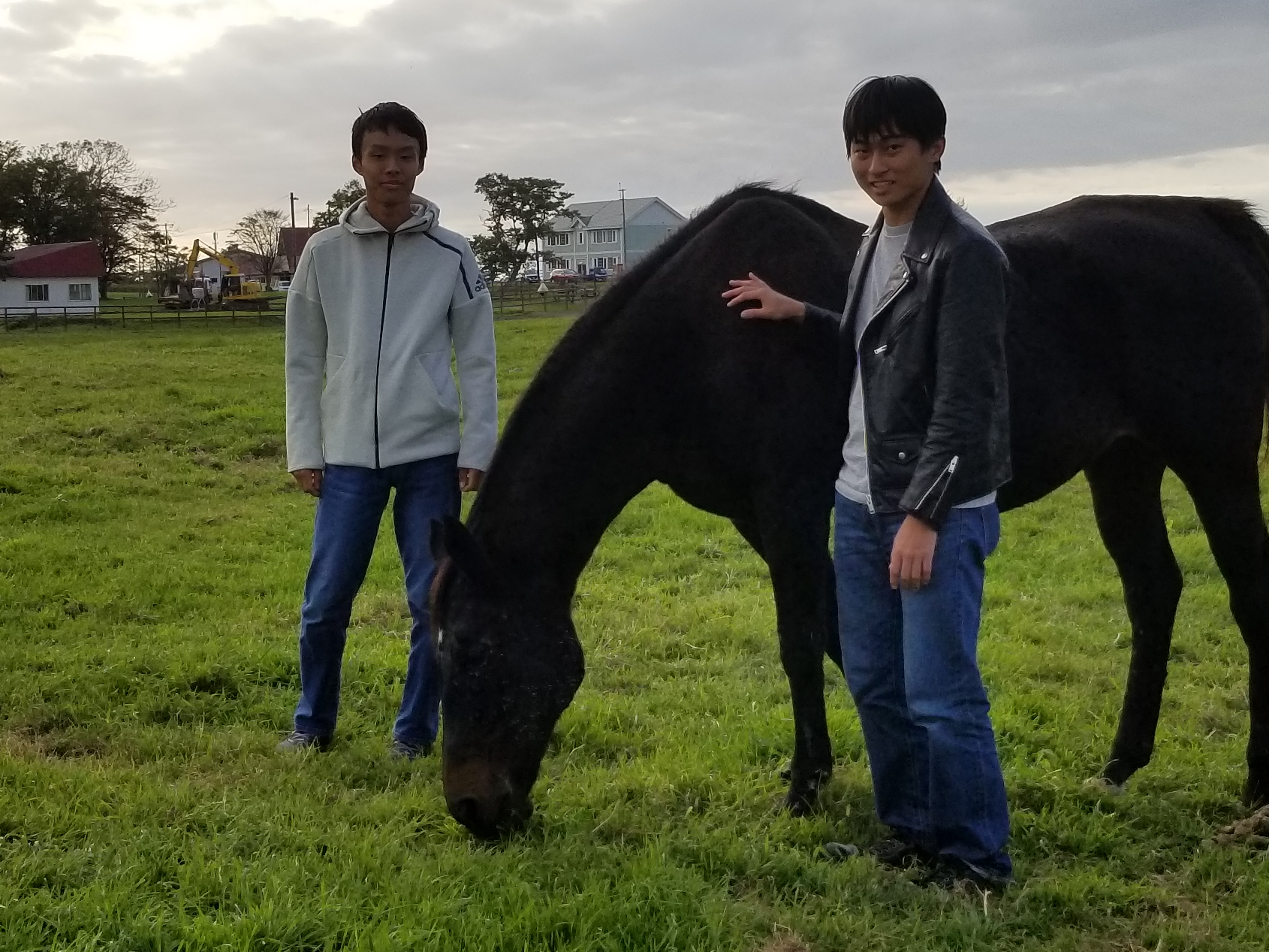 トップレベルの牧場で本物を学べる